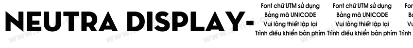 Neutra Display字体转换